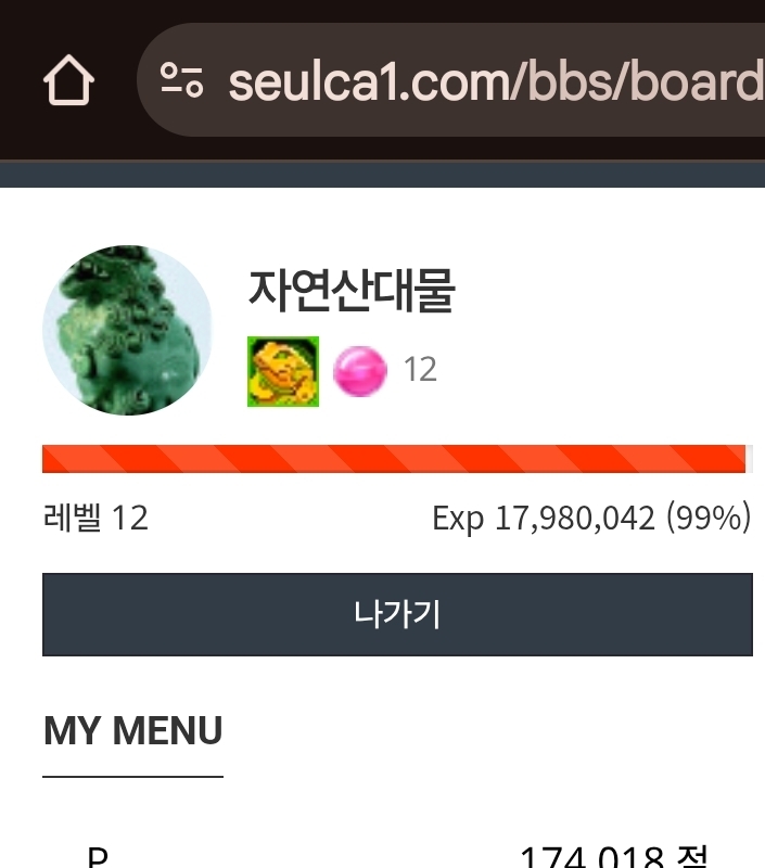 레벨업은 내일로~