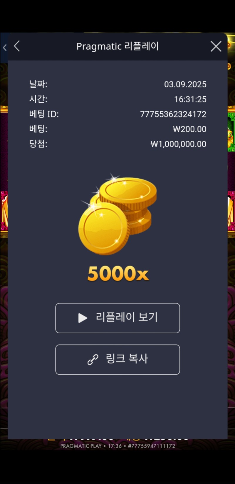토라메 5000배