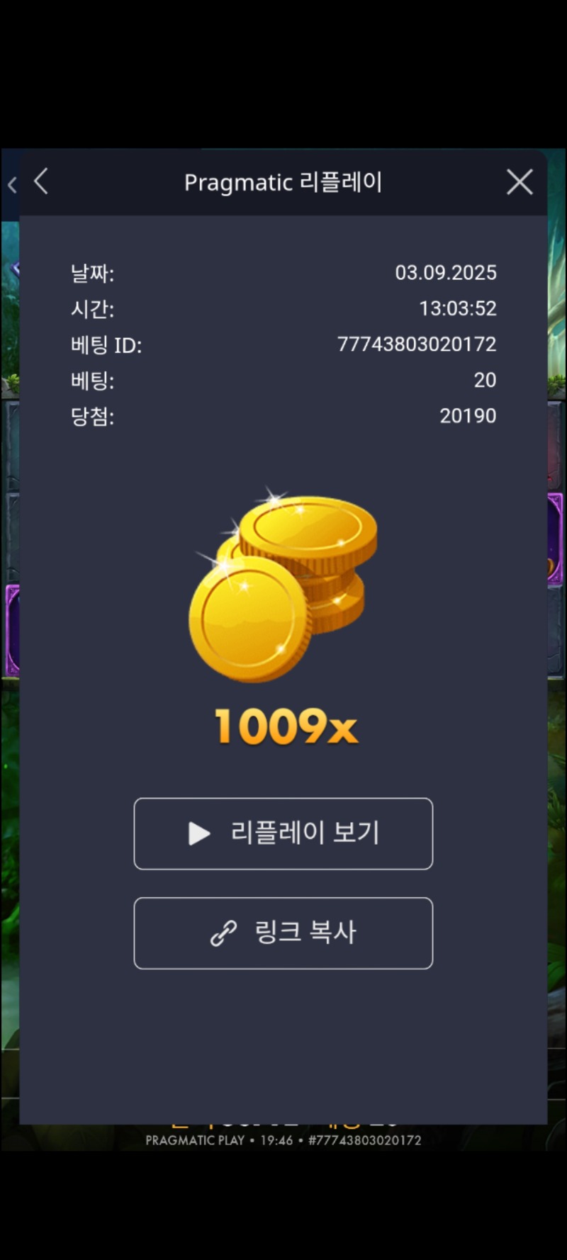 멀린1009배