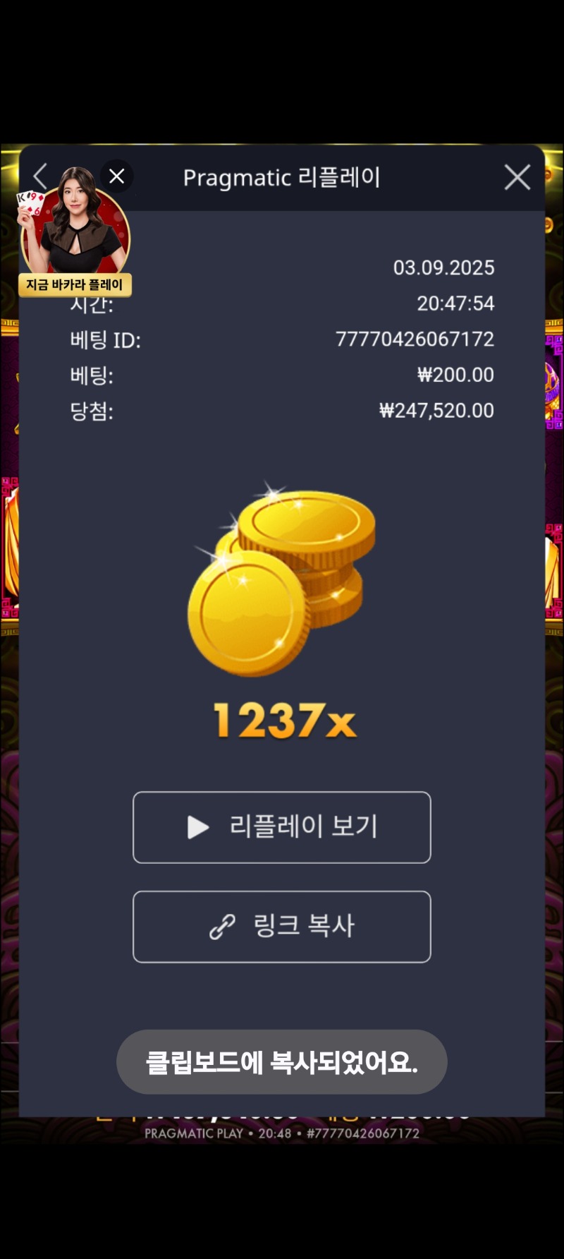 토라메 1247배
