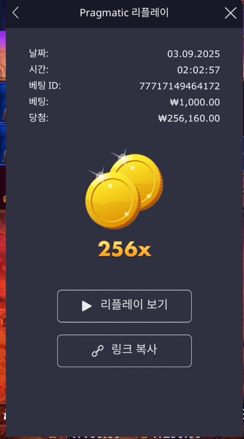 버메가 256배