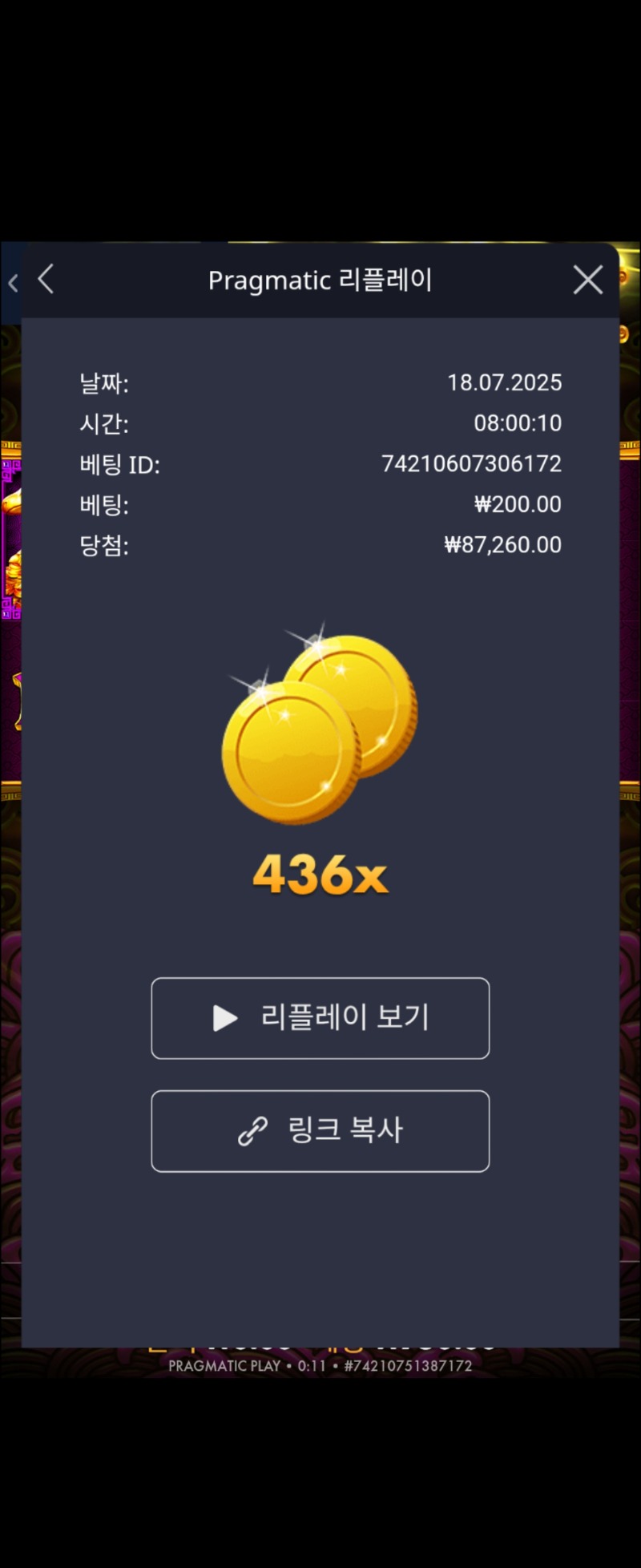 5토끼 436배