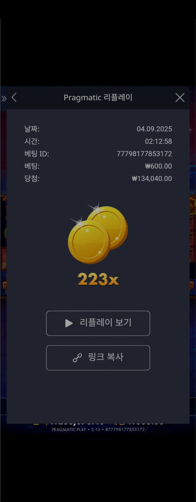 버메가223배