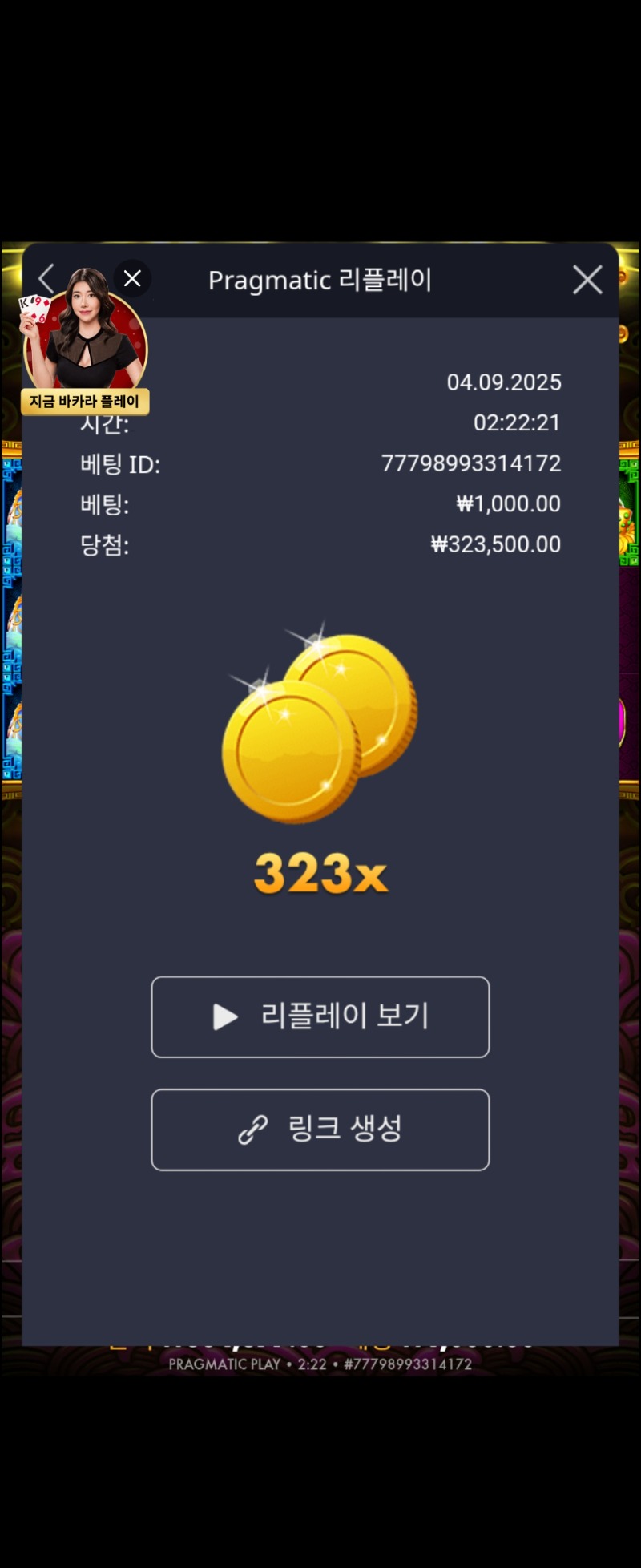 토라메 323