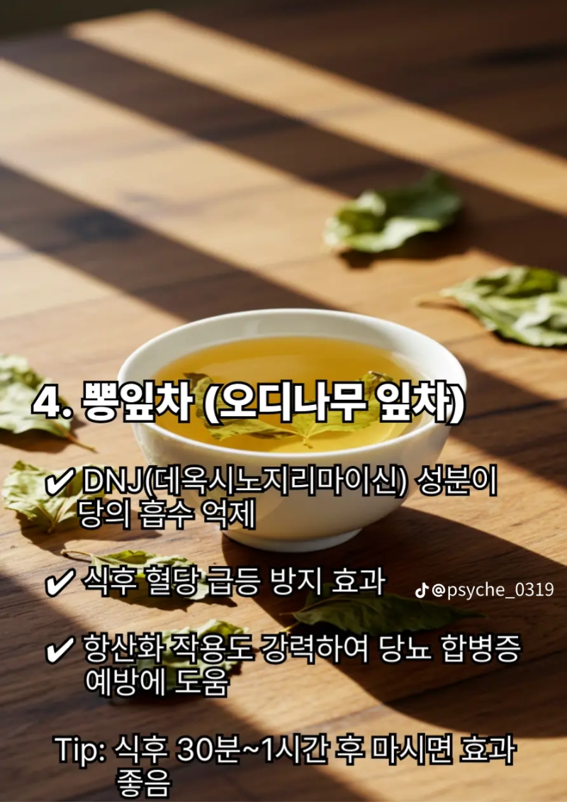 굿몽 ~물 대신마시면당뇨가 사라지는 차
