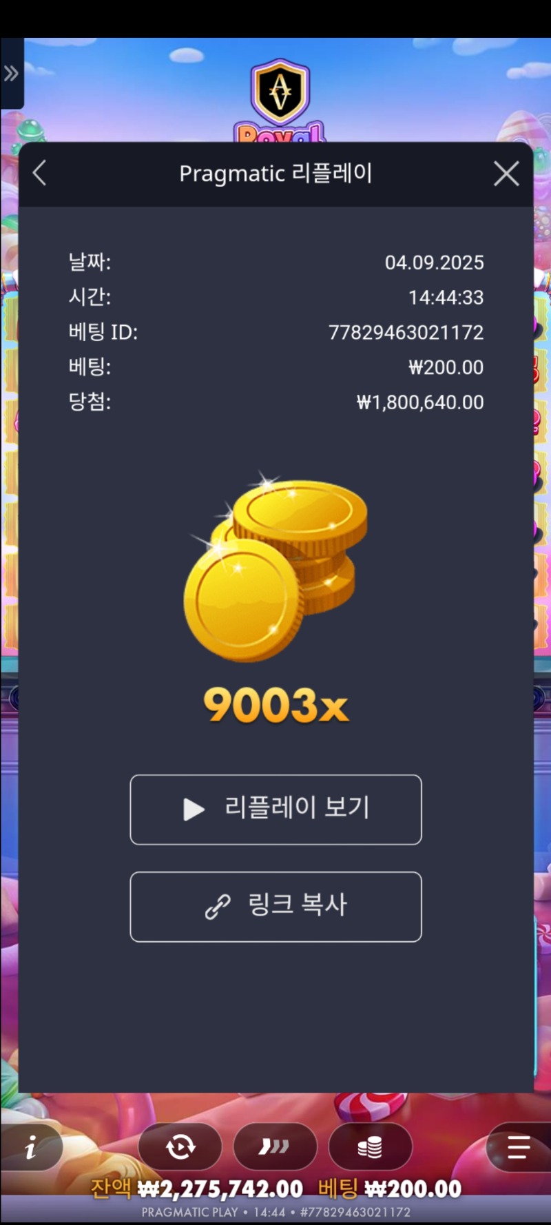 슈천9003