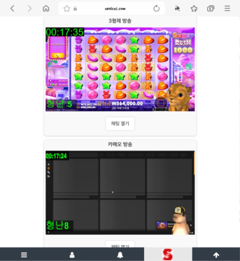 형난 시청