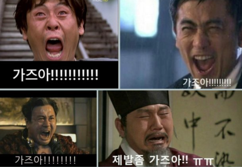형난 사자 비버  두분 수고많으셨습니다
