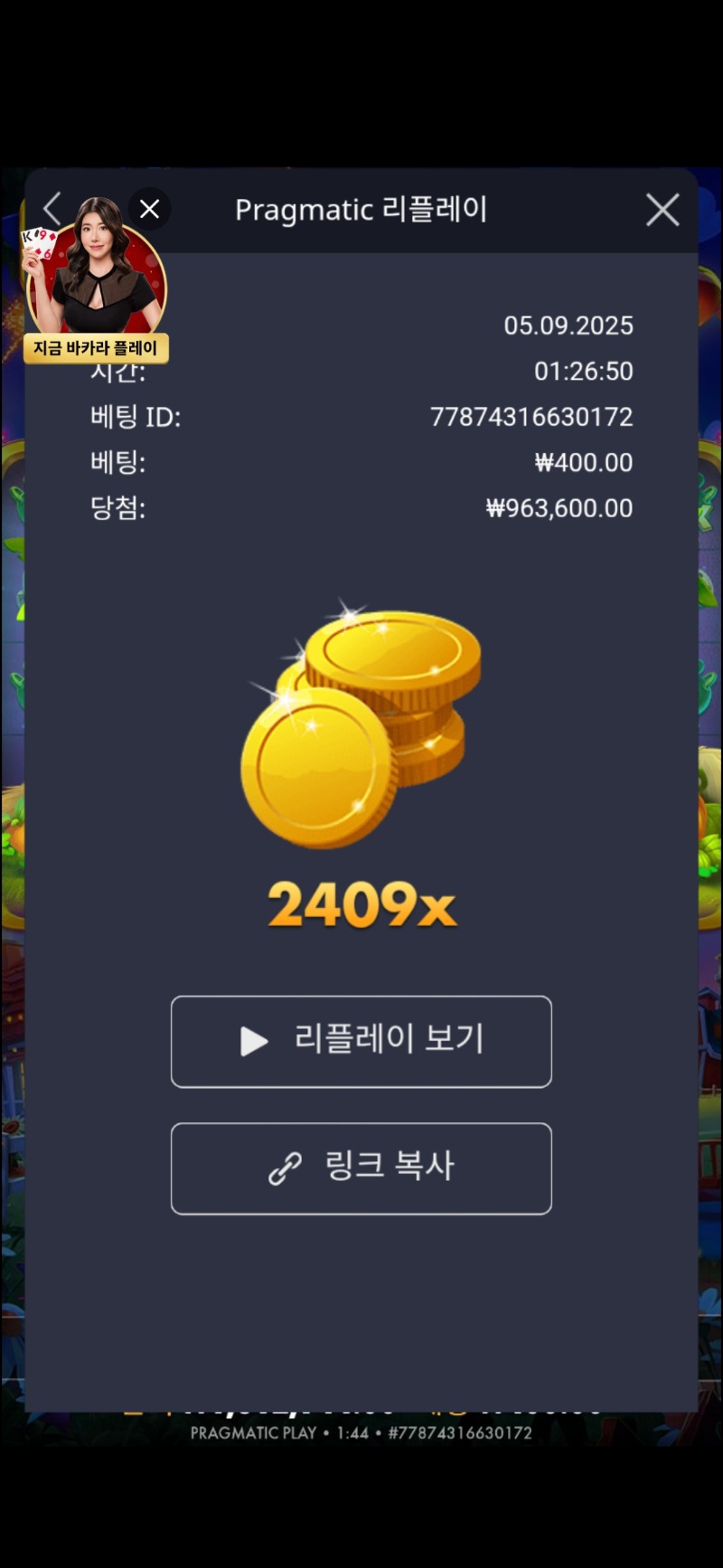 재작성.황금멀티2409배