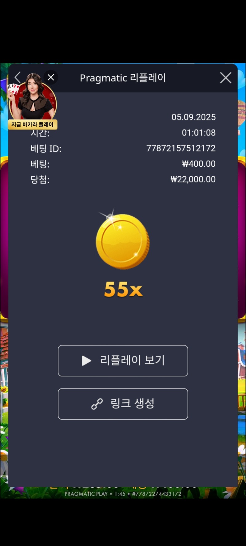 황금삽 55배