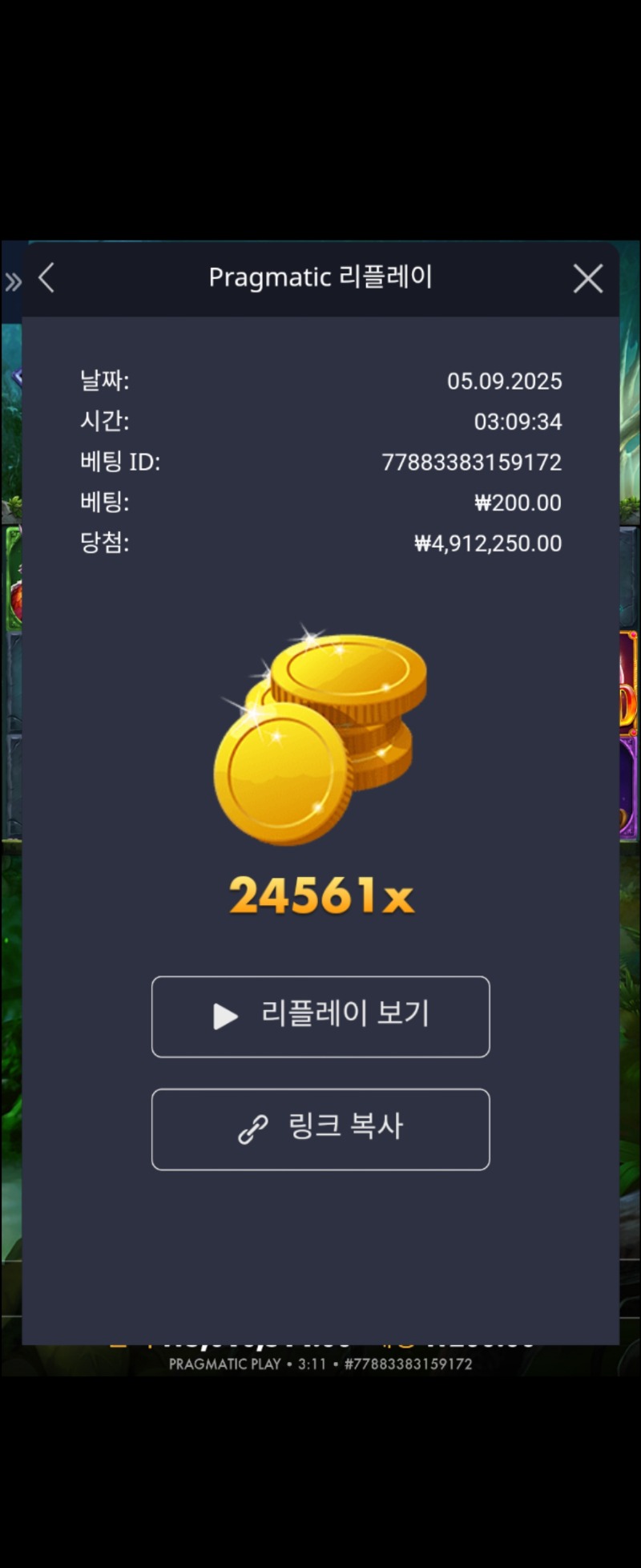 멀린 24561배