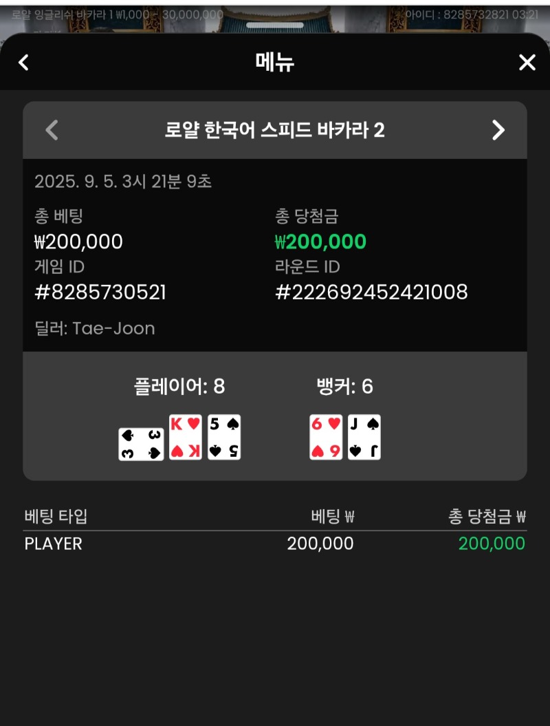 바카라 플레이어 승