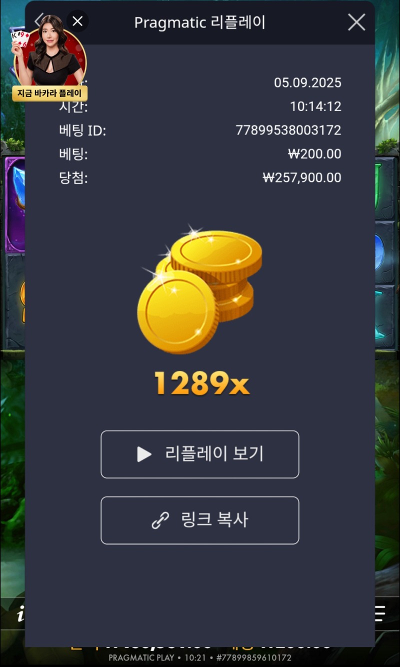멀린 1289