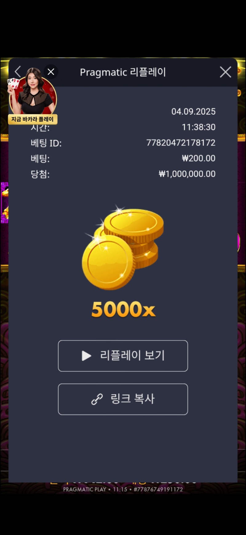 토라메 5000배