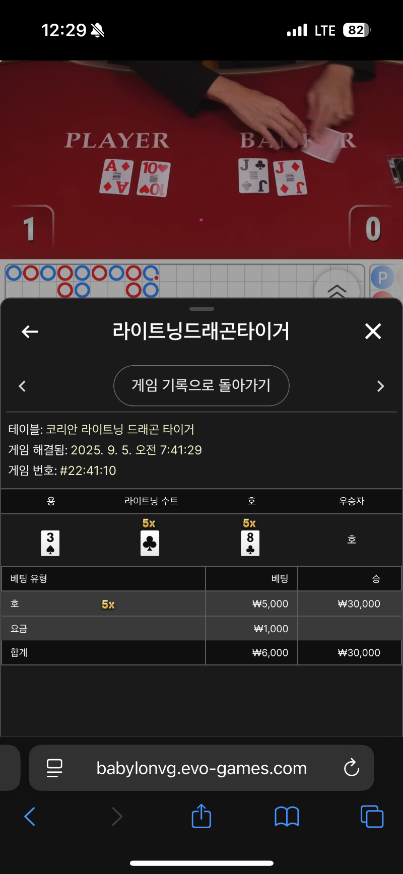 라이트닝용호