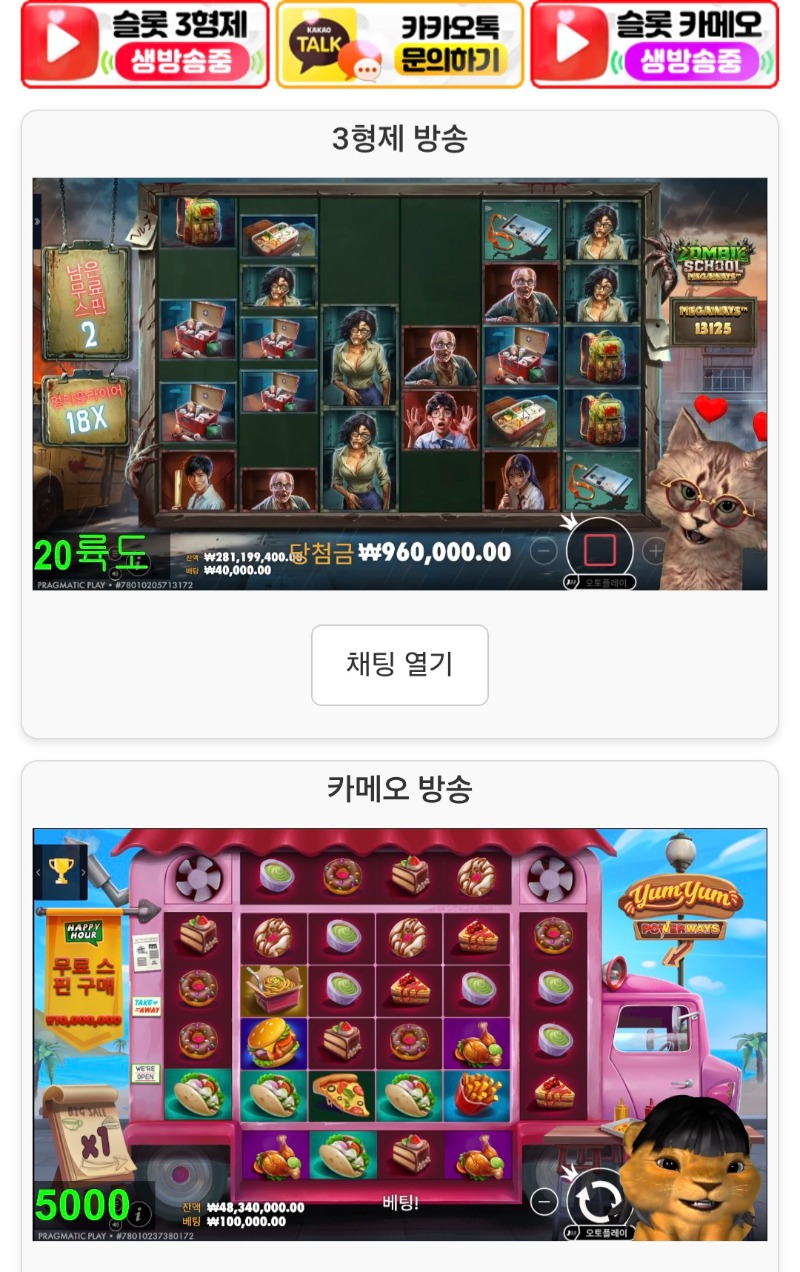 양이 사자 동시 방송 시청