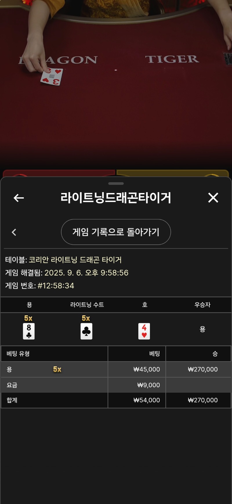 라이트닝 용호