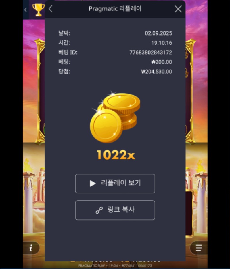 올천 1022배