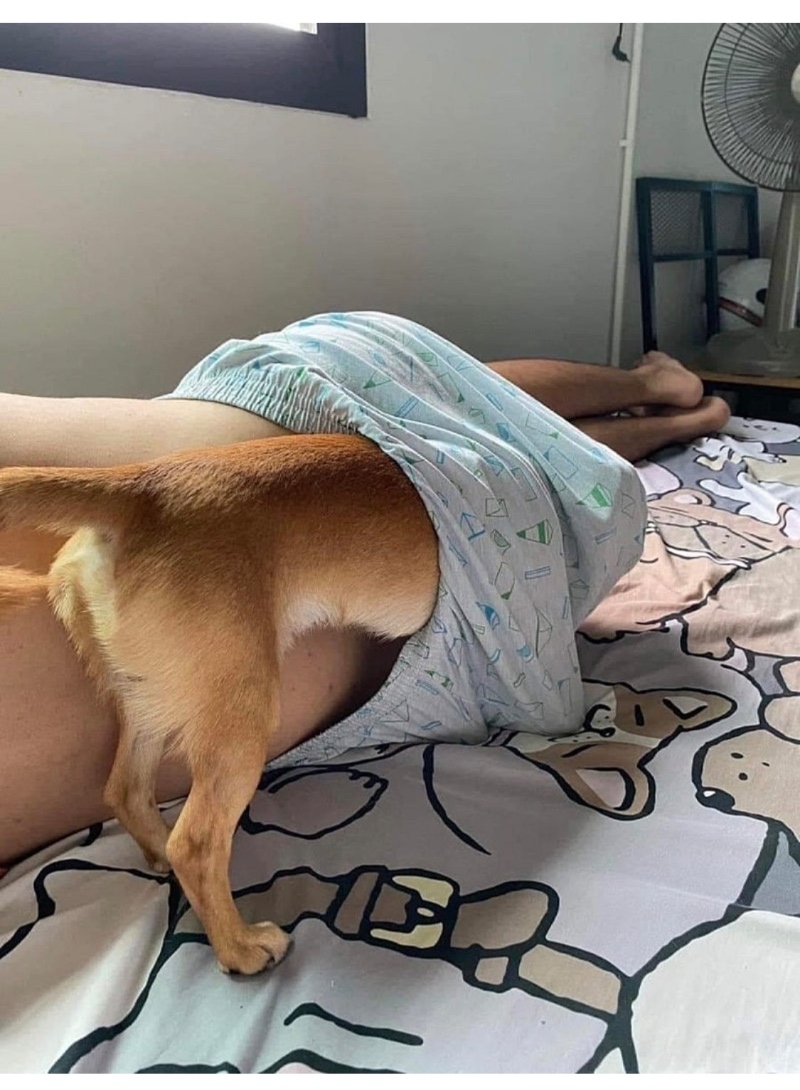 똥카인 을 아시나요