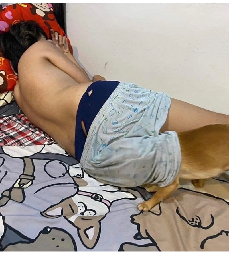 똥카인 을 아시나요