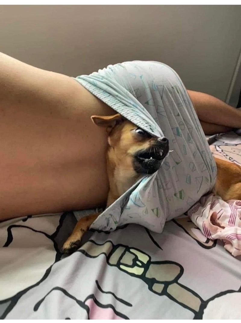 똥카인 을 아시나요