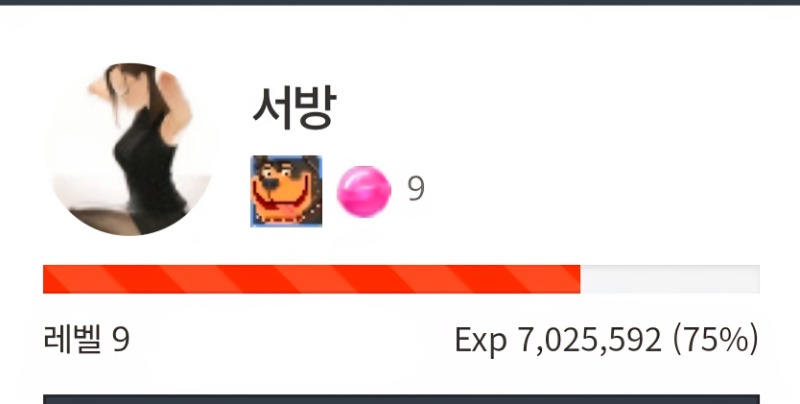 10레벨 하는것도 징하게 힘드네요ㅡ.ㅡ