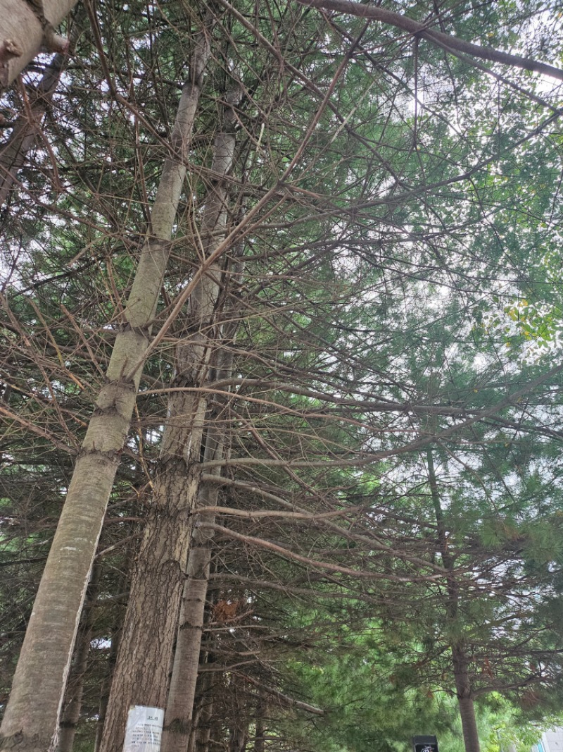 강쥐랑 산책중~~