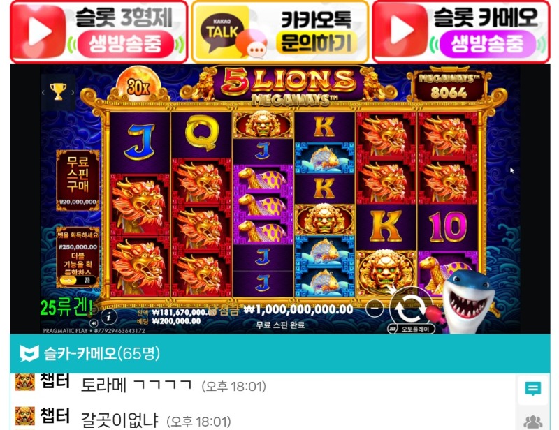 상어야 상어야 놀린거 아녀