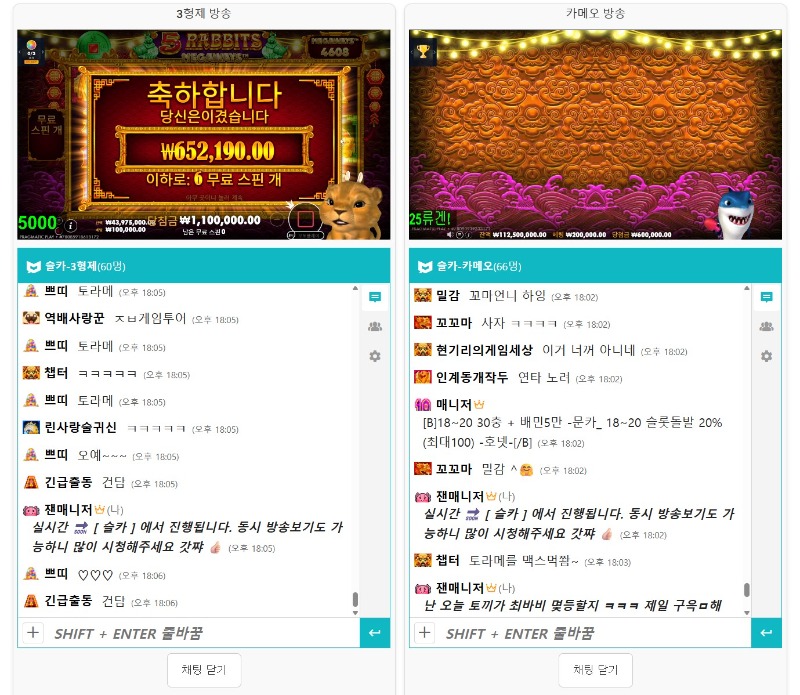 사자오빠 상어 막방인데 안온다고요!?