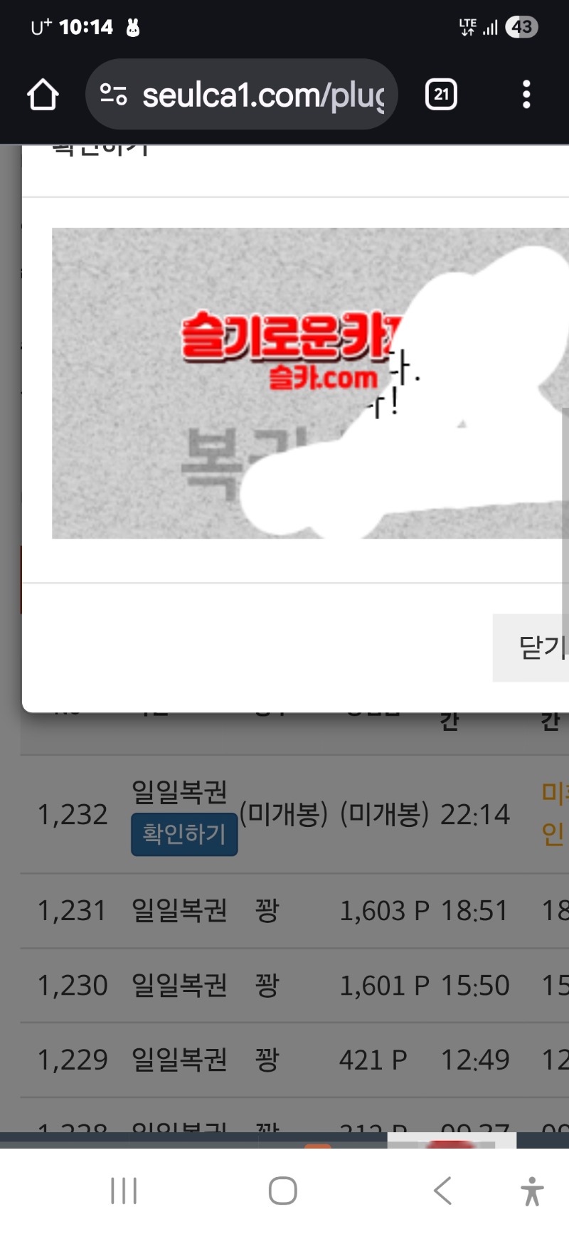 이번주 마지막일보기