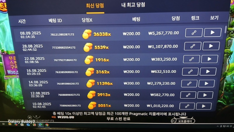 멀린26338배
