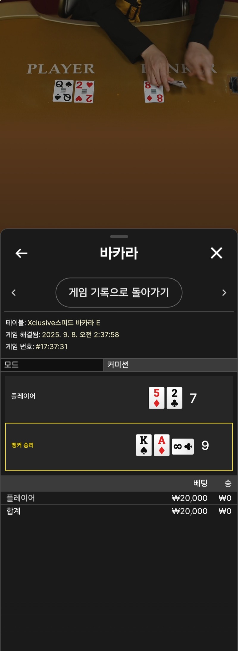새벽카라 패