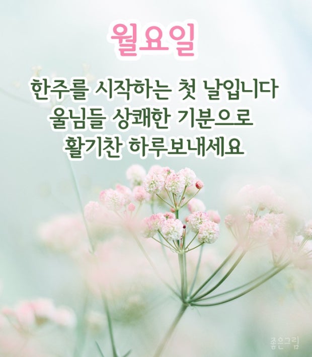 월요일♫상쾌한♪기분으로....