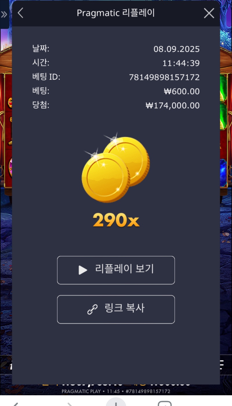 오늘의배당 마담 290배