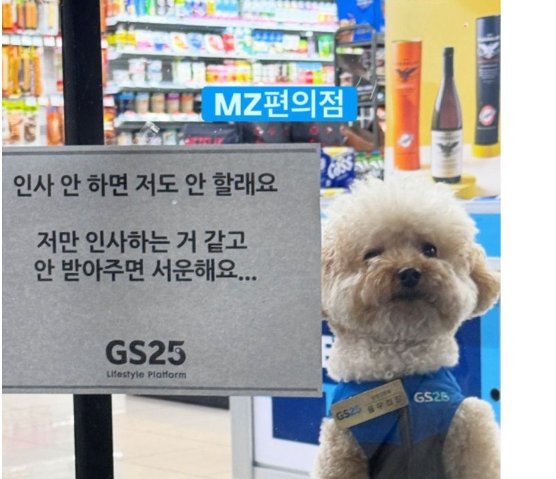 mz편의점