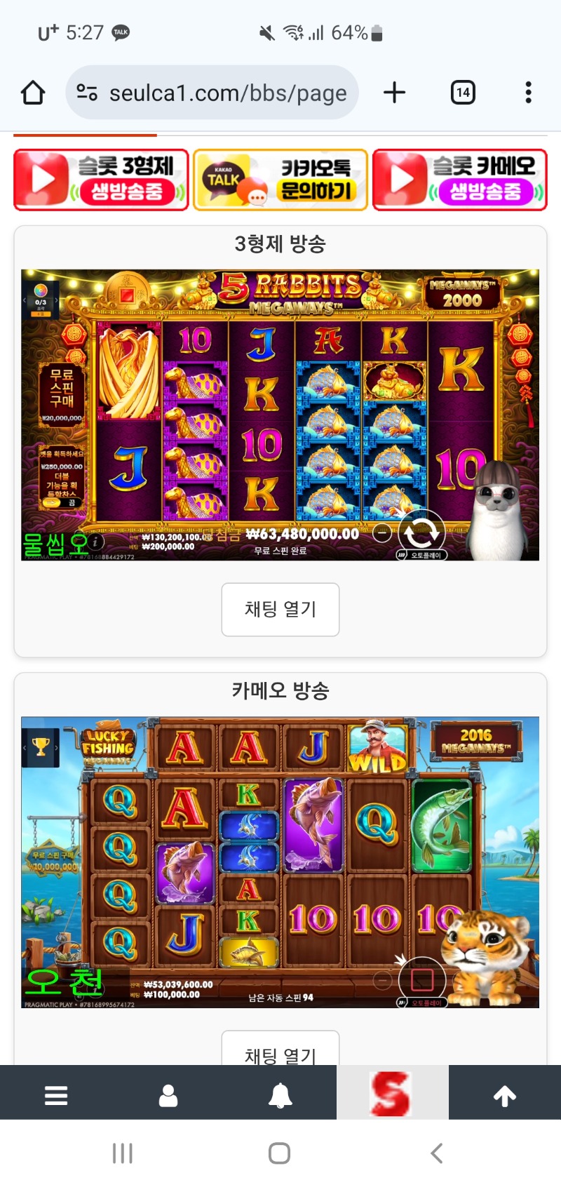 오늘도 동시시청 가짜