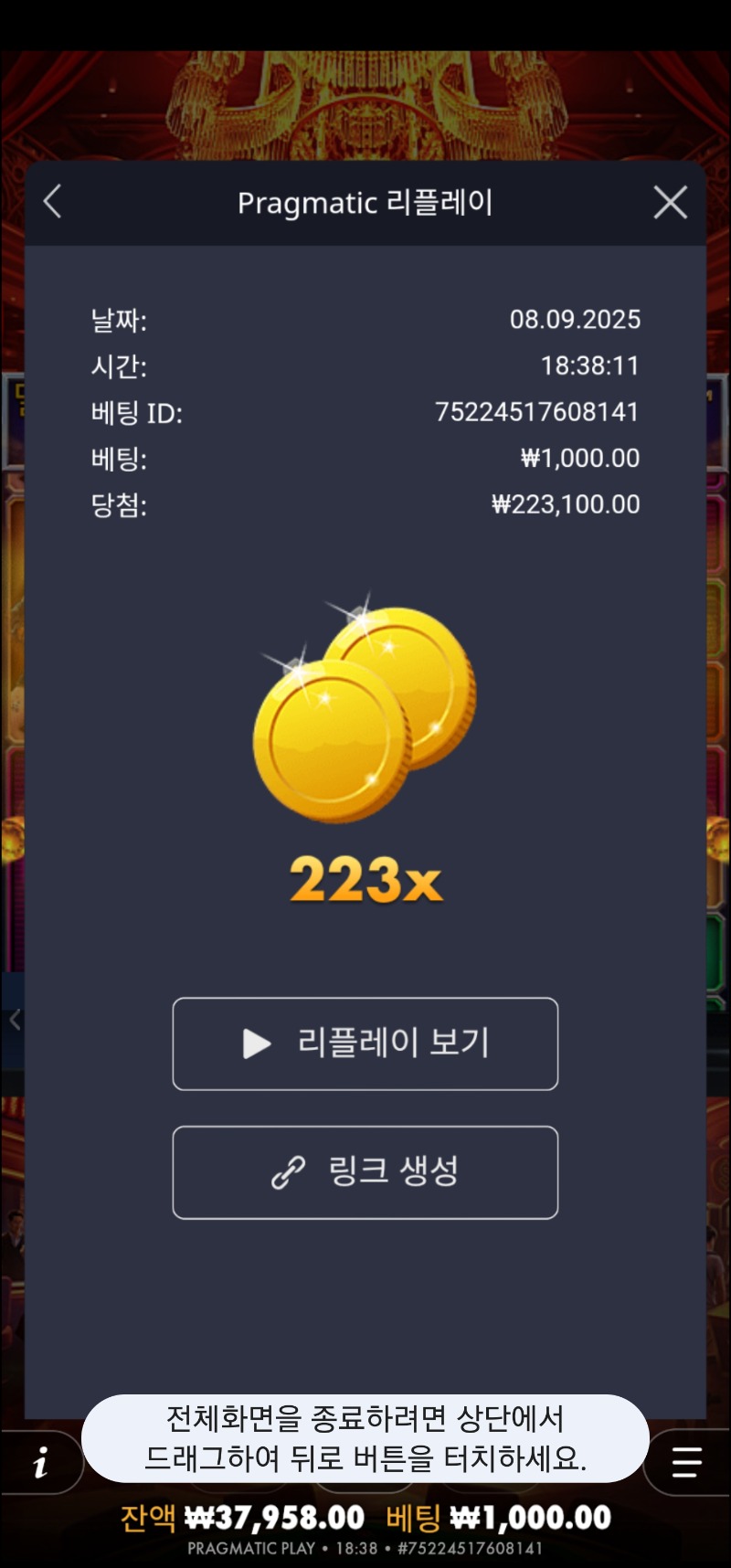 카지노헤이스트 223배