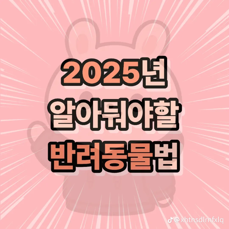 굿밤~2025년 반련동물법!