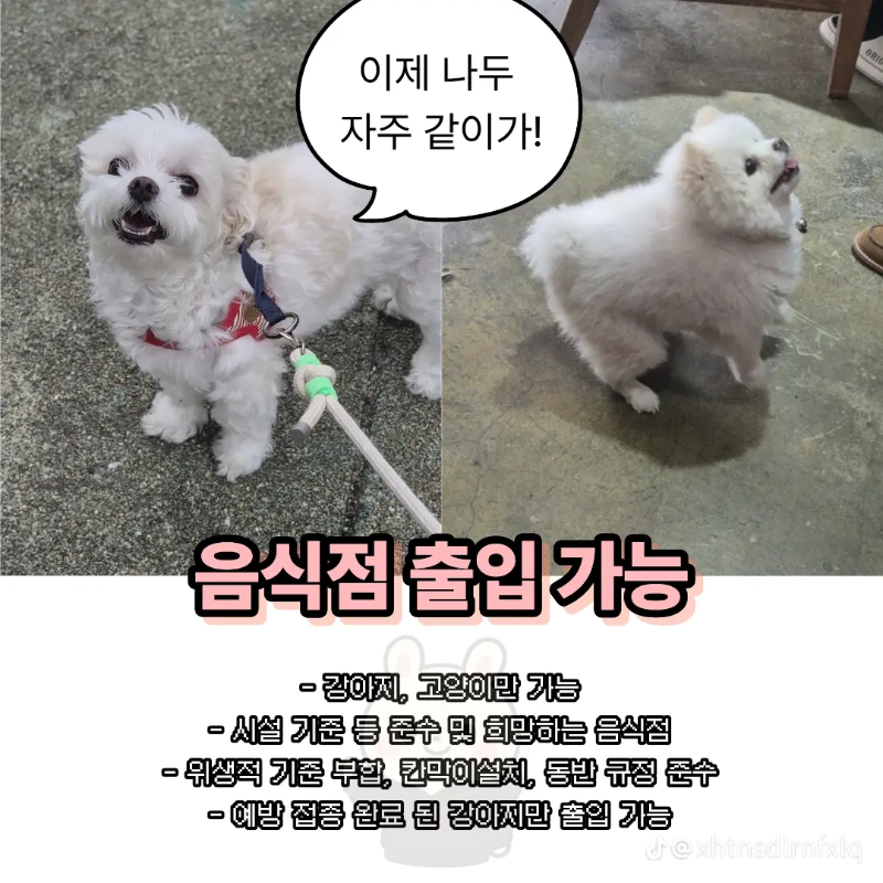굿밤~2025년 반련동물법!