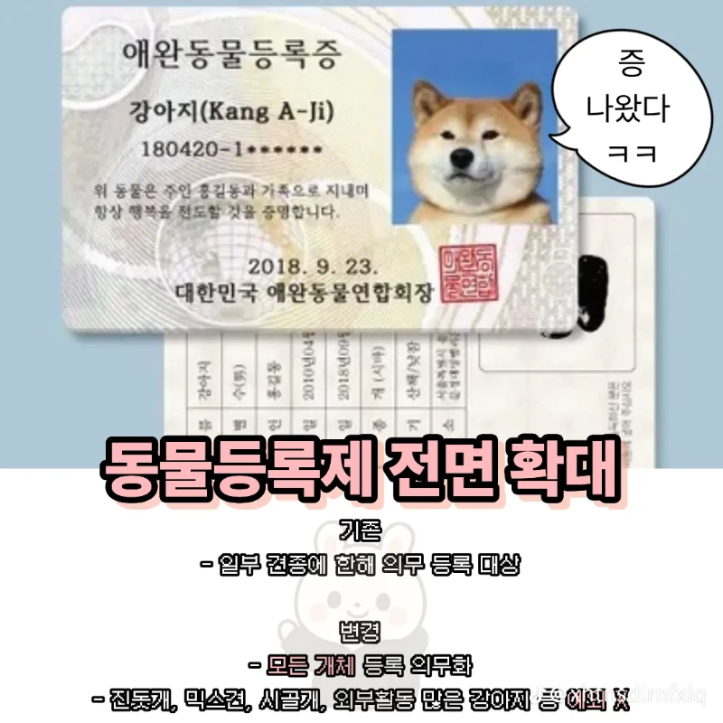 굿밤~2025년 반련동물법!
