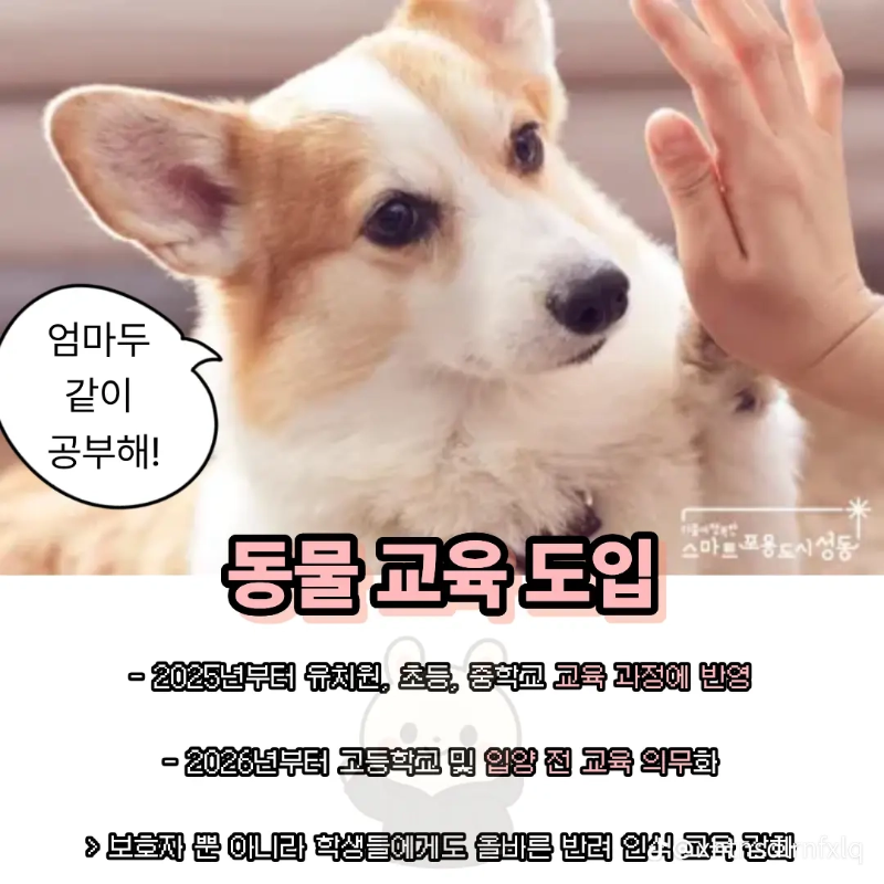 굿밤~2025년 반련동물법!