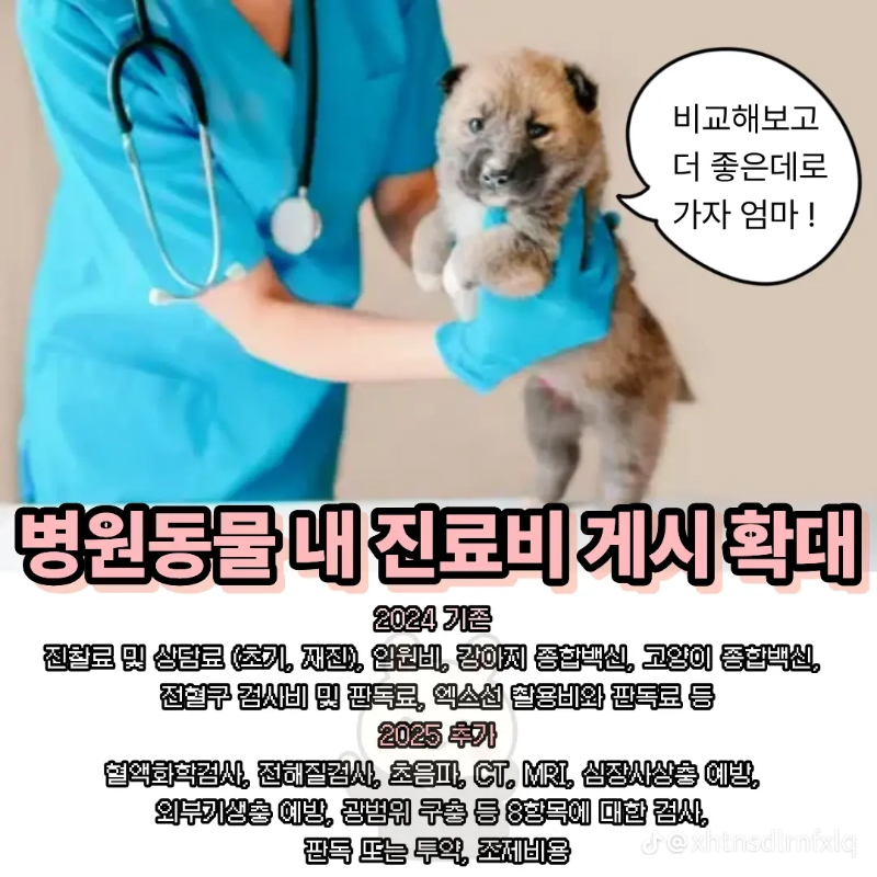 굿밤~2025년 반련동물법!