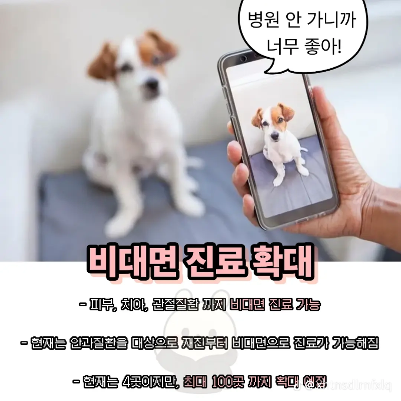 굿밤~2025년 반련동물법!