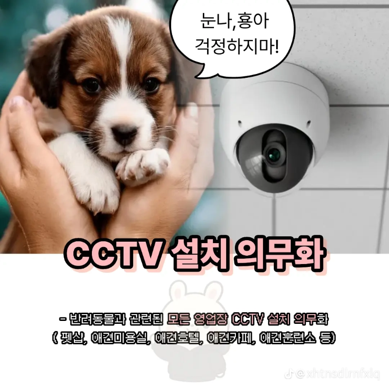 굿밤~2025년 반련동물법!