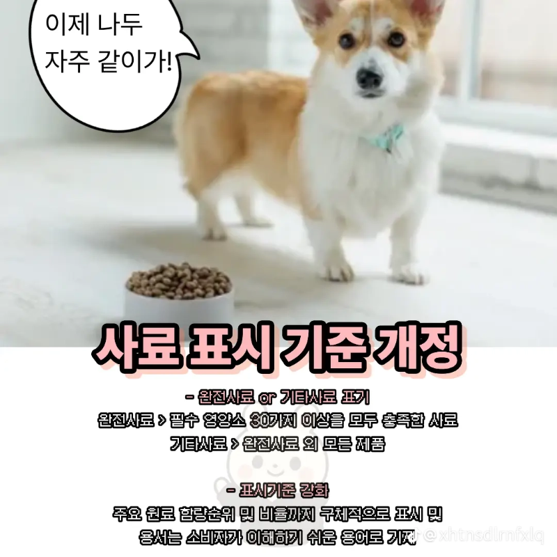 굿밤~2025년 반련동물법!