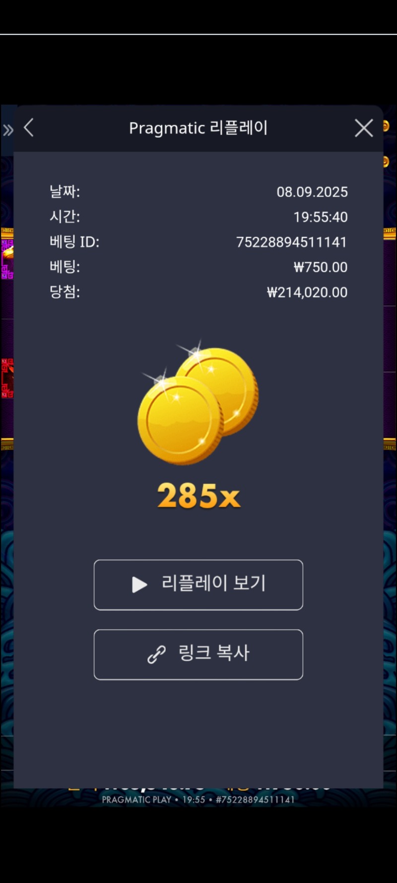 오라매 285배