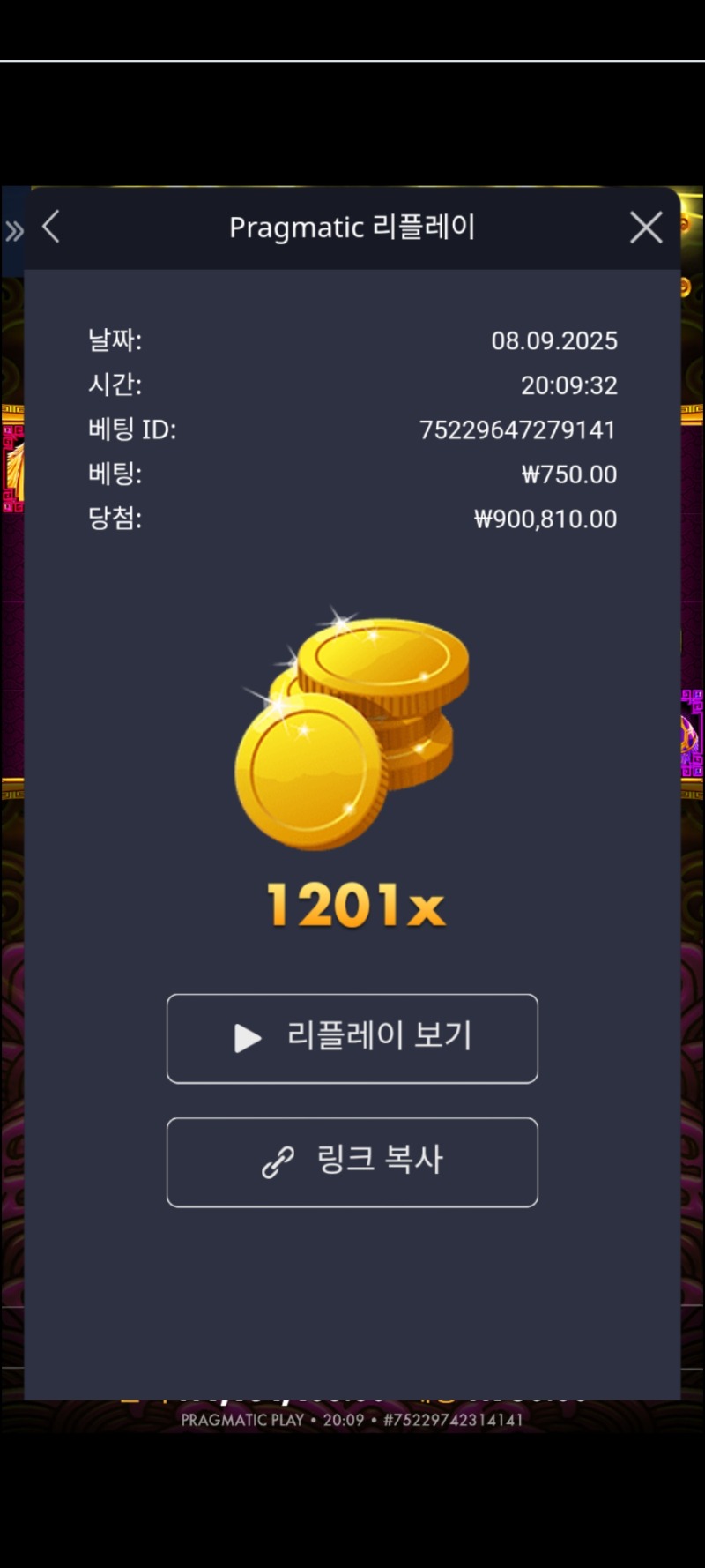토라매 1201배