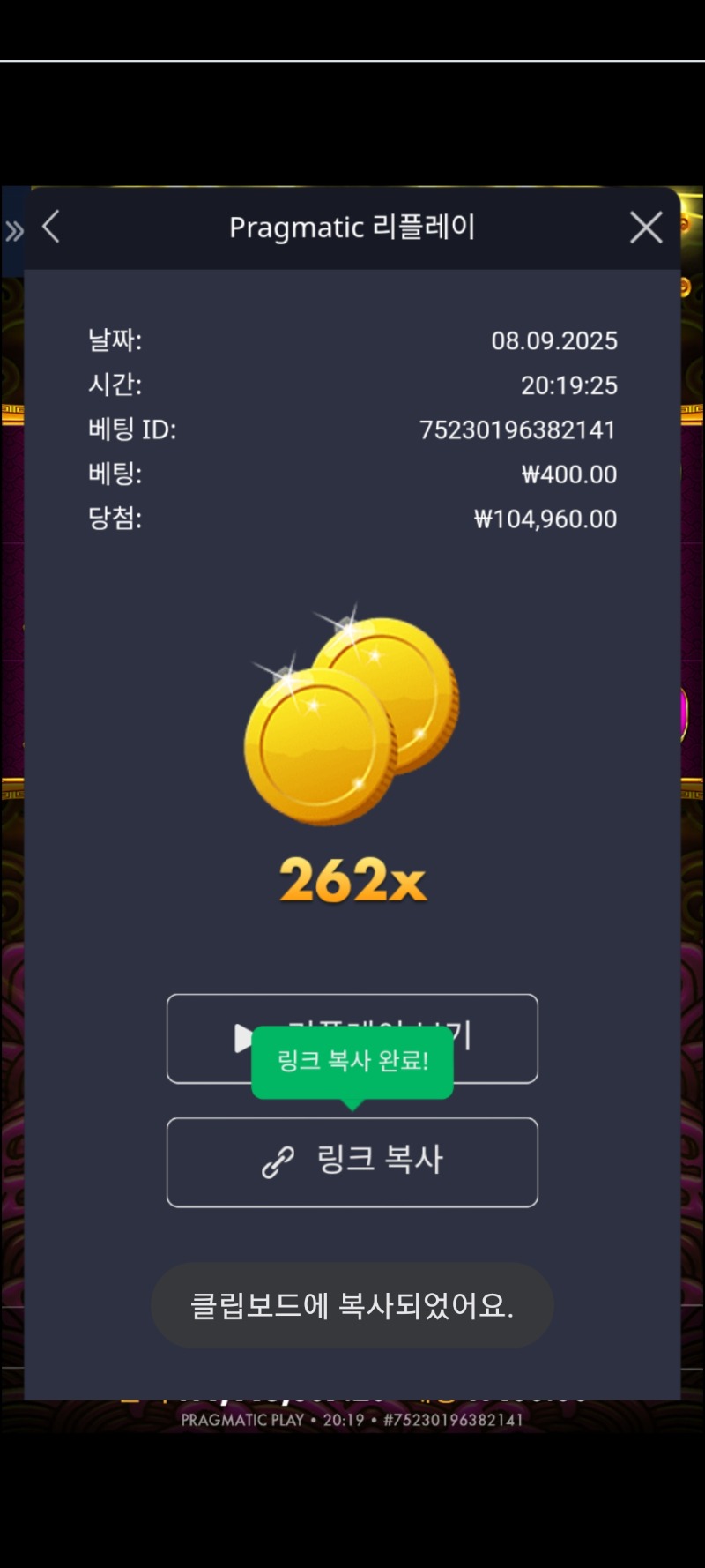 토라매 262배