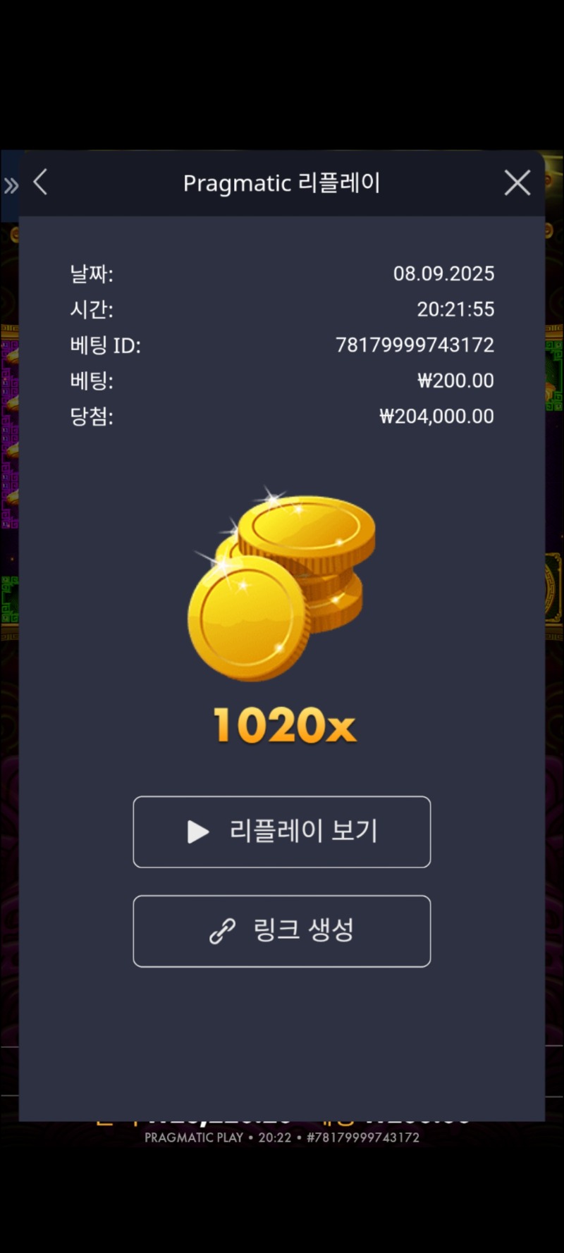 토라메1020
