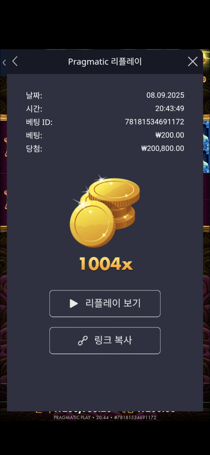 토라메 1004배